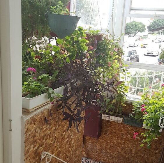 Yeşilköy Airport Butik Otel