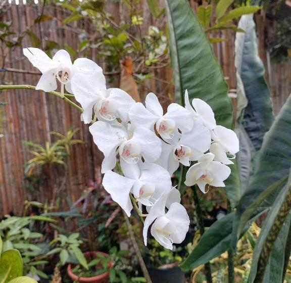 Auberge Hôtelière Greenspace