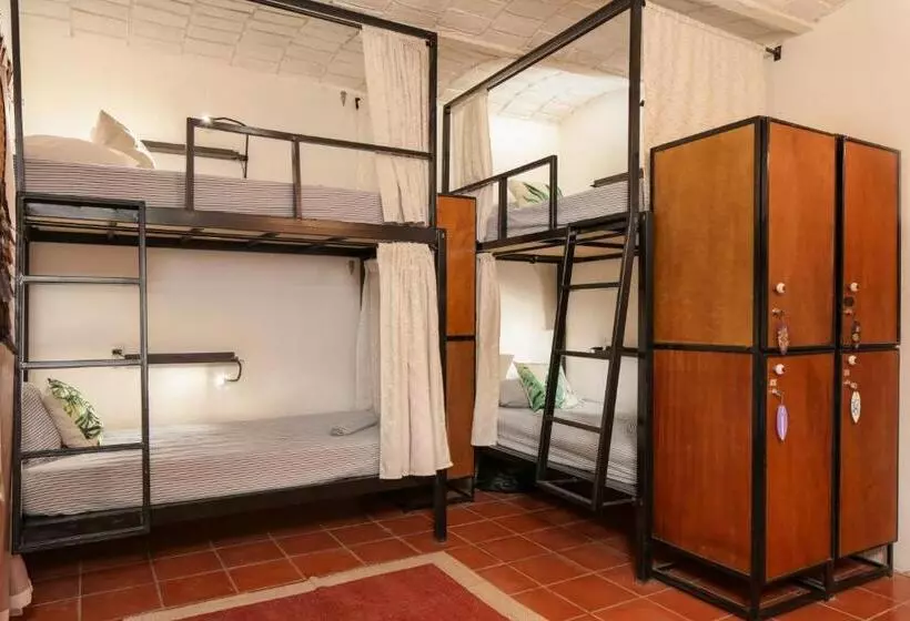 Retkeilymaja My Sisters House   Female Only