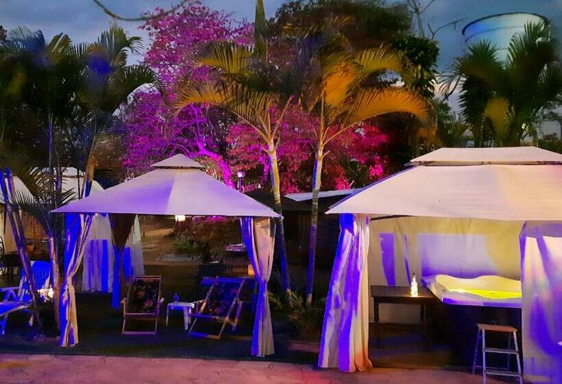 הוסטל Pousada Confraria Casa Branca