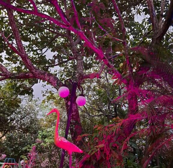 הוסטל Pousada Confraria Casa Branca