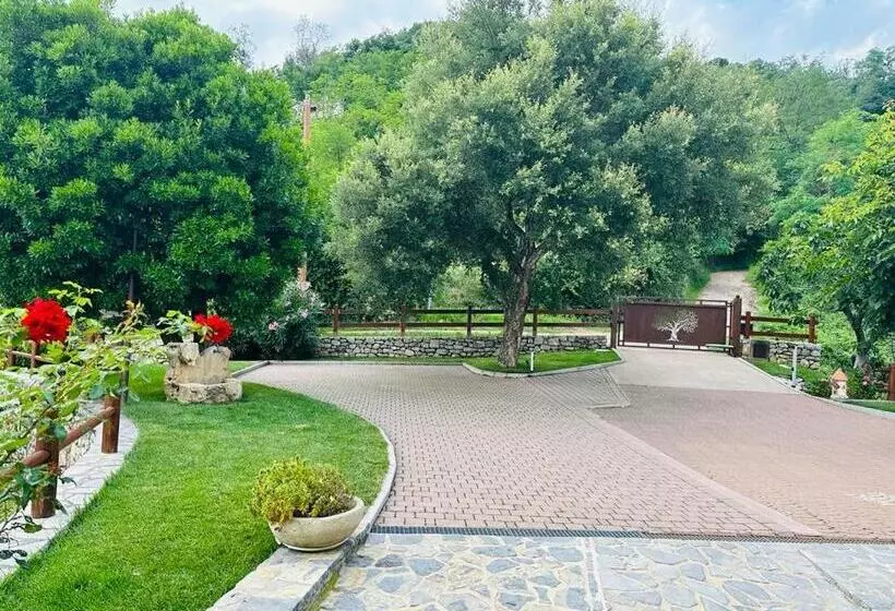 Aamiaismajoitus (B&B) Le Lanterne