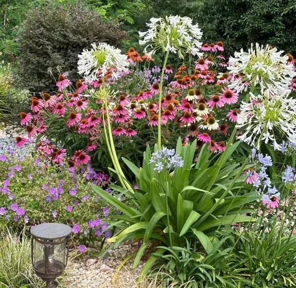 Aamiaismajoitus (B&B) Le Lanterne