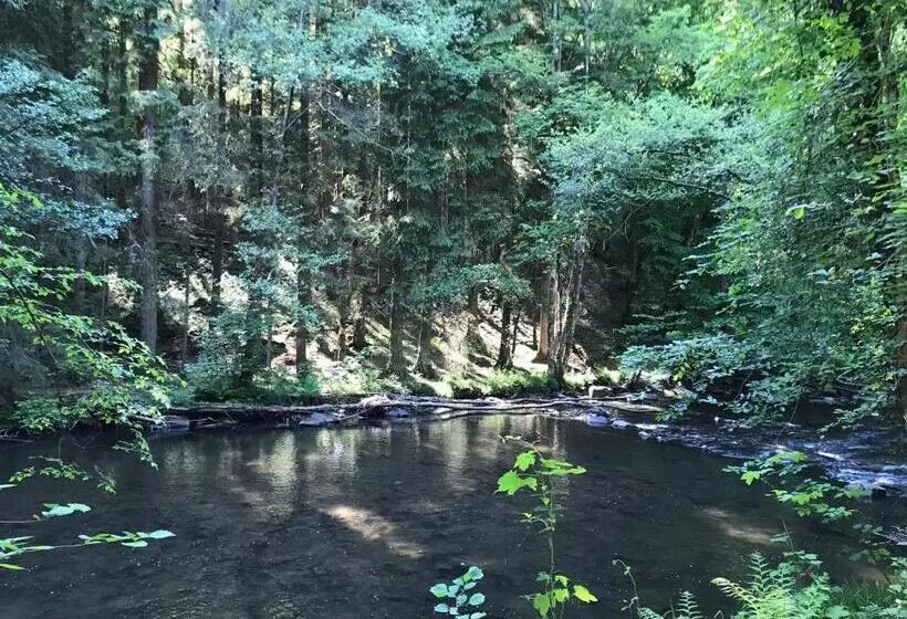 ベッドアンドブレックファースト Plumes Et Pinceaux