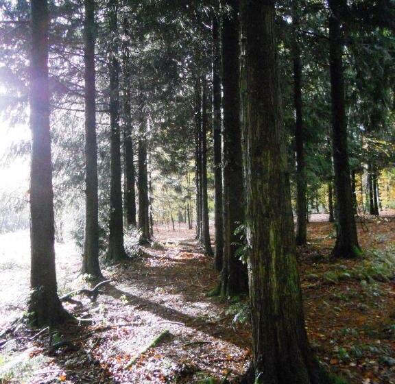 مبيت وإفطار Plumes Et Pinceaux