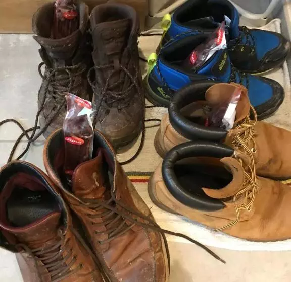 ベッドアンドブレックファースト Plumes Et Pinceaux