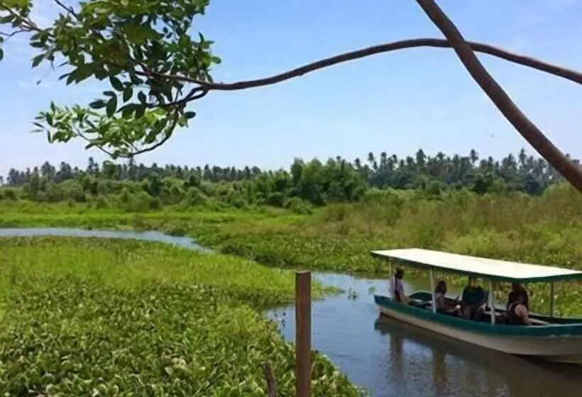 ホテル Casa Shula, Acapulco