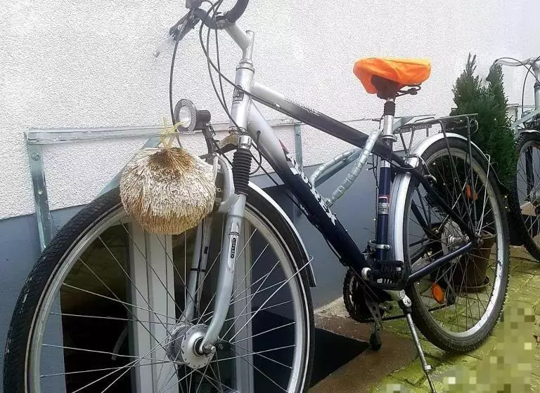 New Hostel Berlin Mitte Free Snack Hot Tea And Coffee