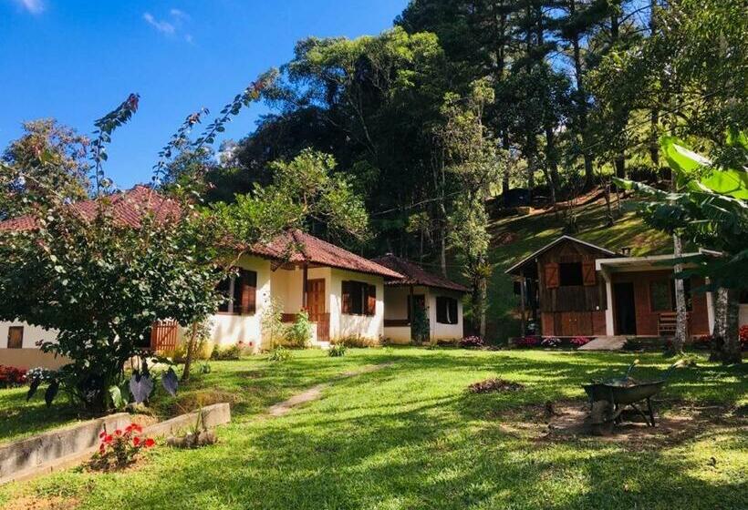 פנסיון Pousada Algama