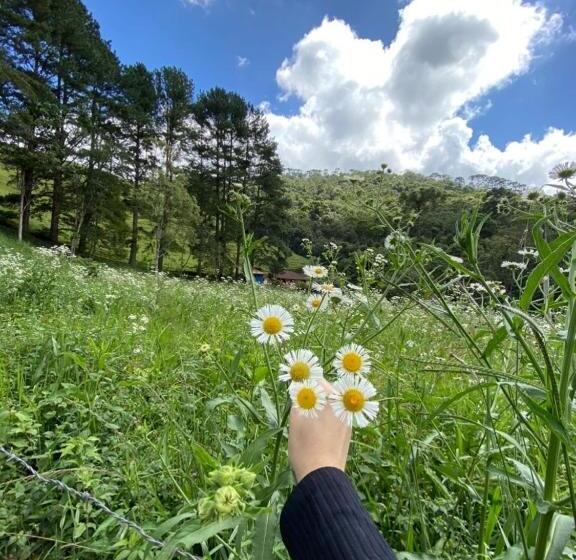 פנסיון Pousada Algama