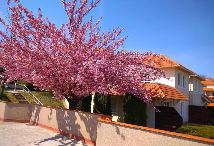 River Lux Apartman Dunaszentmiklós