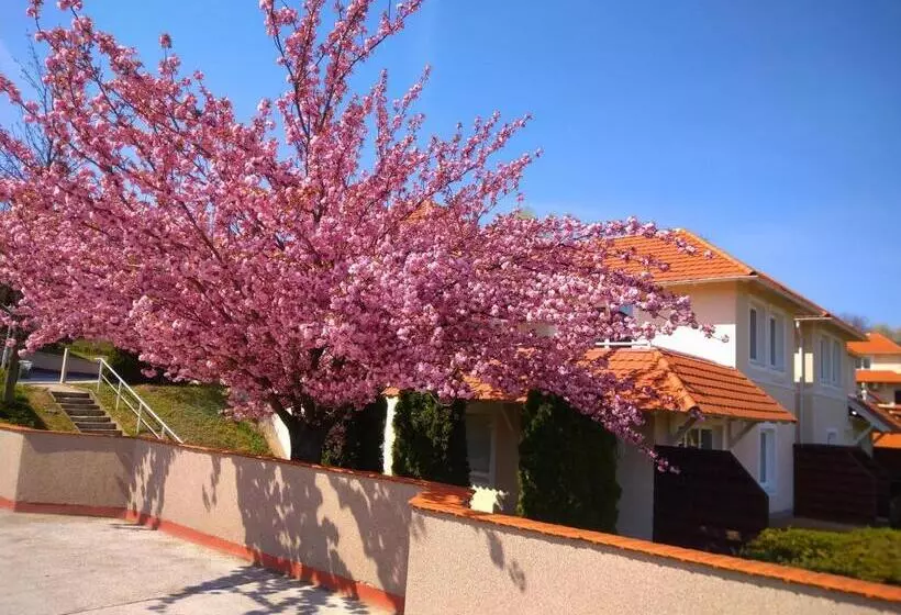 River Lux Apartman Dunaszentmiklós