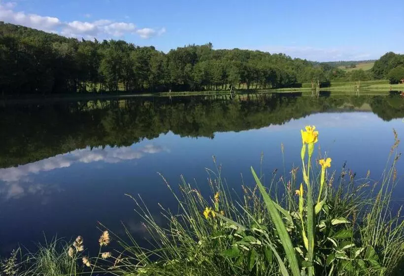 Aamiaismajoitus (B&B) Champ De Foire
