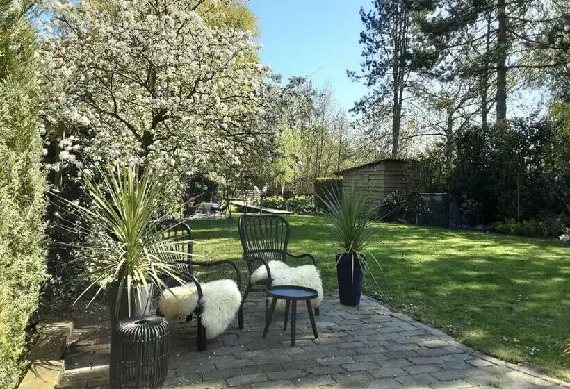 B & B Meet The Dutch