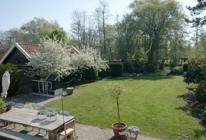 B & B Meet The Dutch