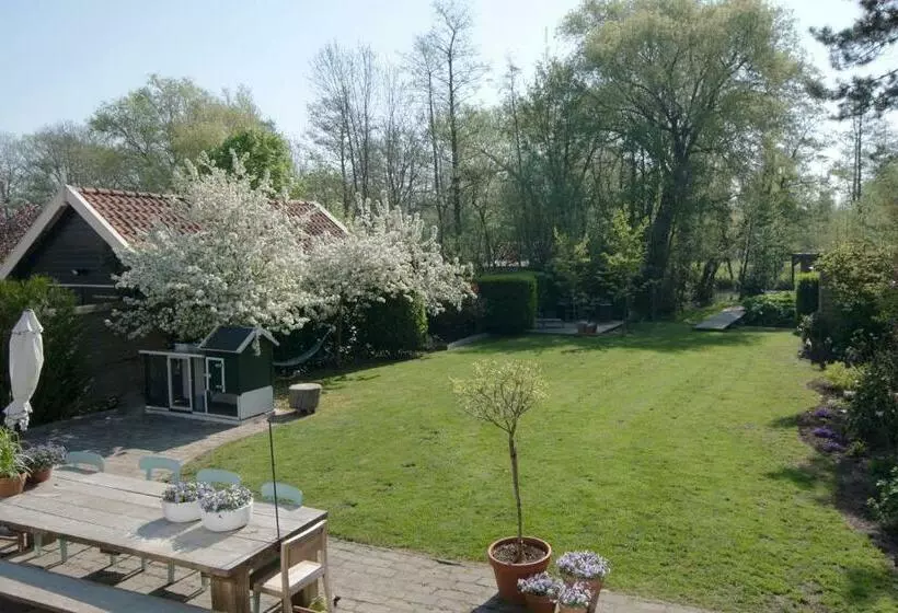 B & B Meet The Dutch