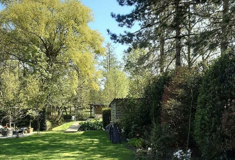 B & B Meet The Dutch