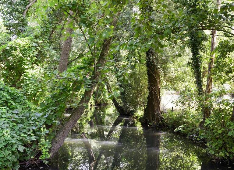 B & B Meet The Dutch