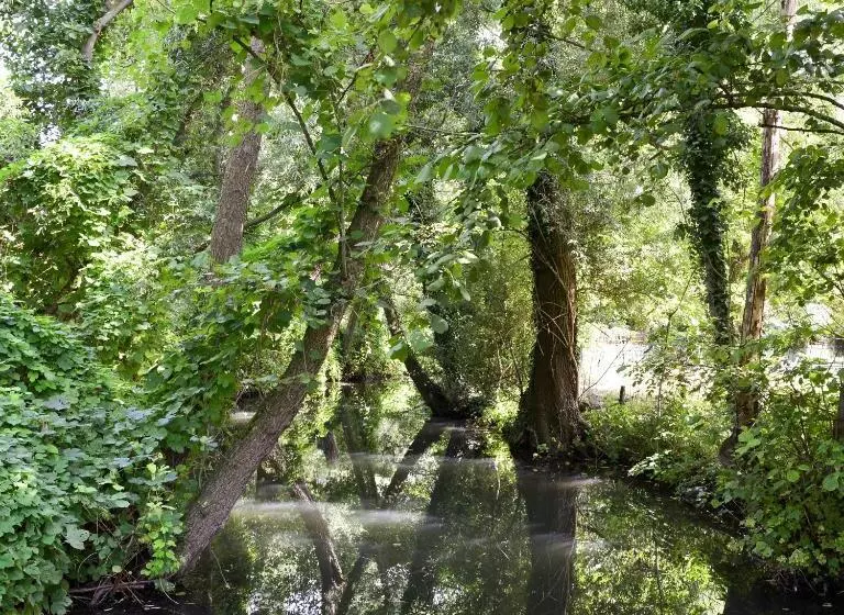 B & B Meet The Dutch