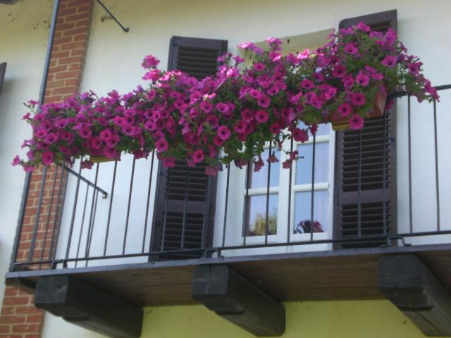 B&b Naturista Raggio Di Sole