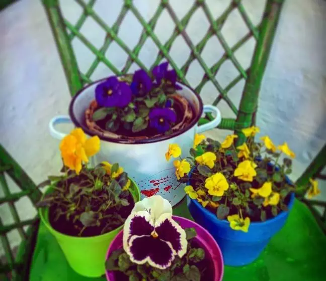 Aamiaismajoitus (B&B) Il Vallone