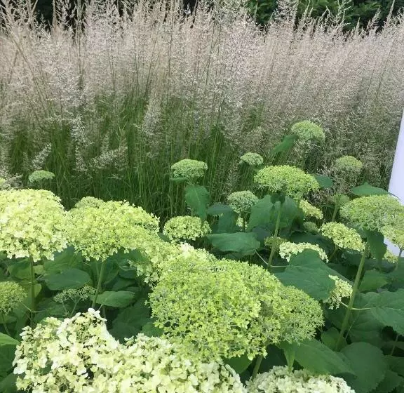 Aamiaismajoitus (B&B) Retour De Provence