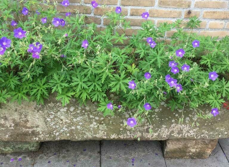 צימר Retour De Provence