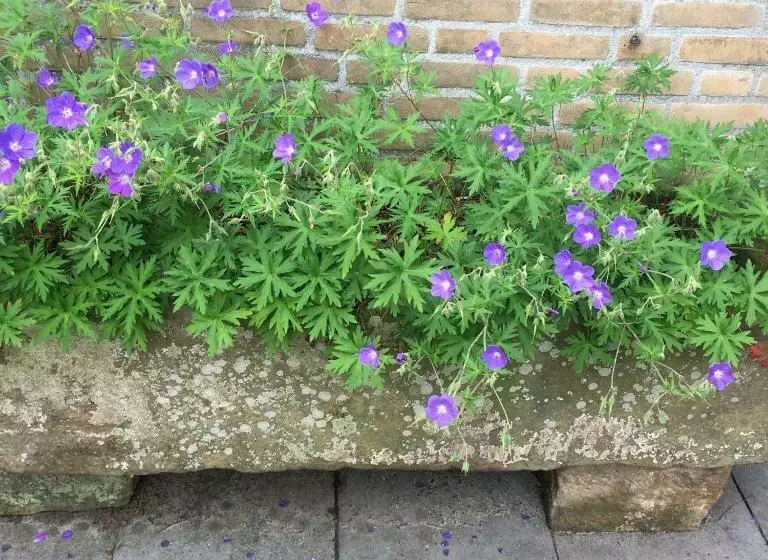 Aamiaismajoitus (B&B) Retour De Provence