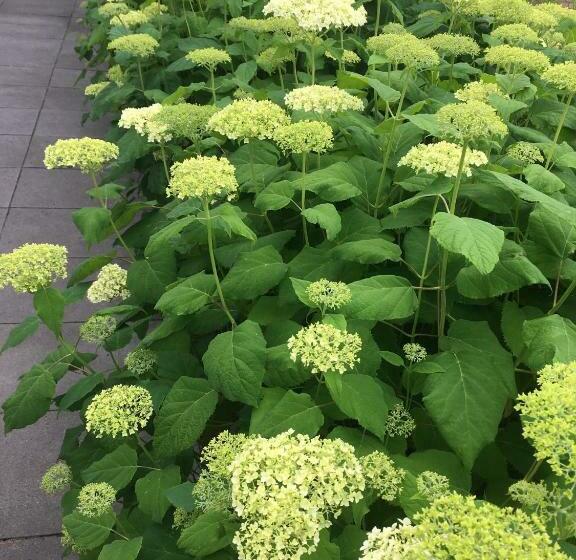 צימר Retour De Provence