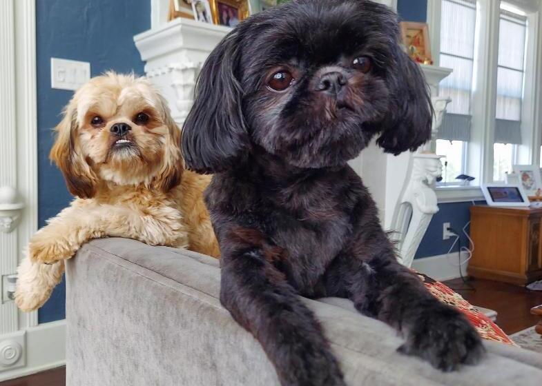 민박 The Kenwood Gables