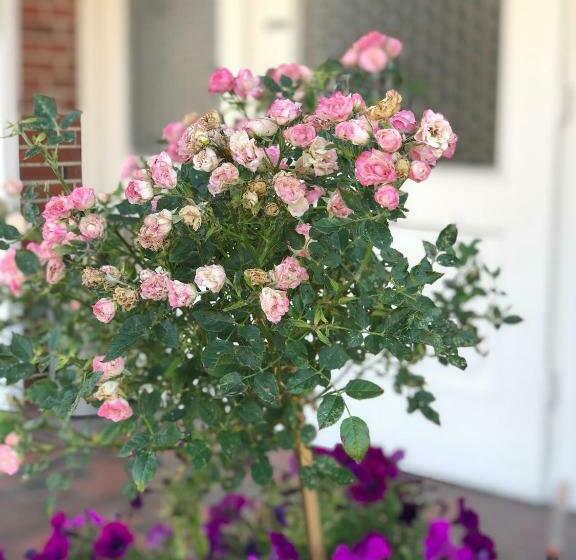 Отель Schlafstübchen