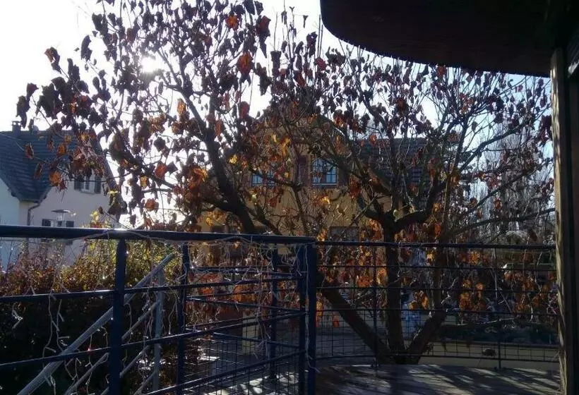 Majatalo A L Ombre Des Catalpas