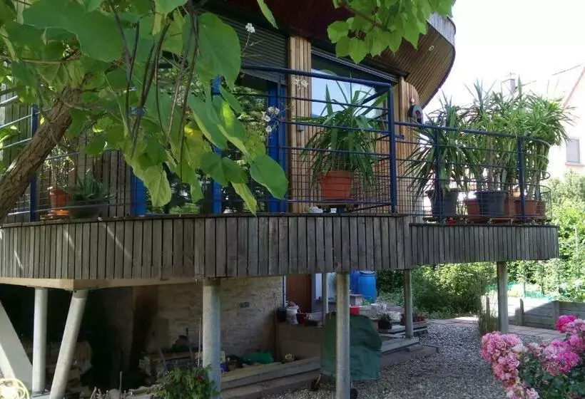 Majatalo A L Ombre Des Catalpas