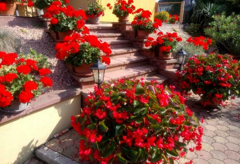 ペンション A L Ombre Des Catalpas