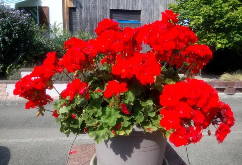 ペンション A L Ombre Des Catalpas