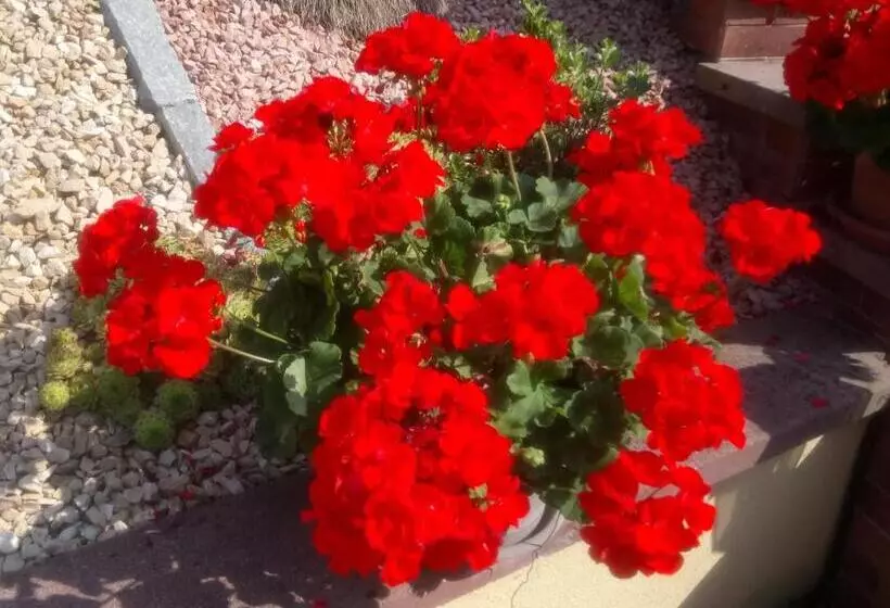 Majatalo A L Ombre Des Catalpas