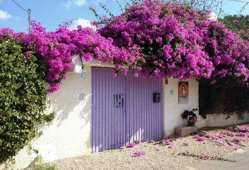 پانسیون Tara Casa Rural