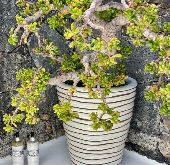 펜션 Villa Shepherd Lajares   Luxury Villa Fuerteventura