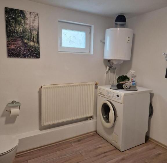 פנסיון Waldbergperle Ernsbach