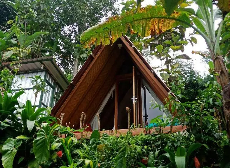 ベッドアンドブレックファースト Eco Bedugul Adventurer Camp