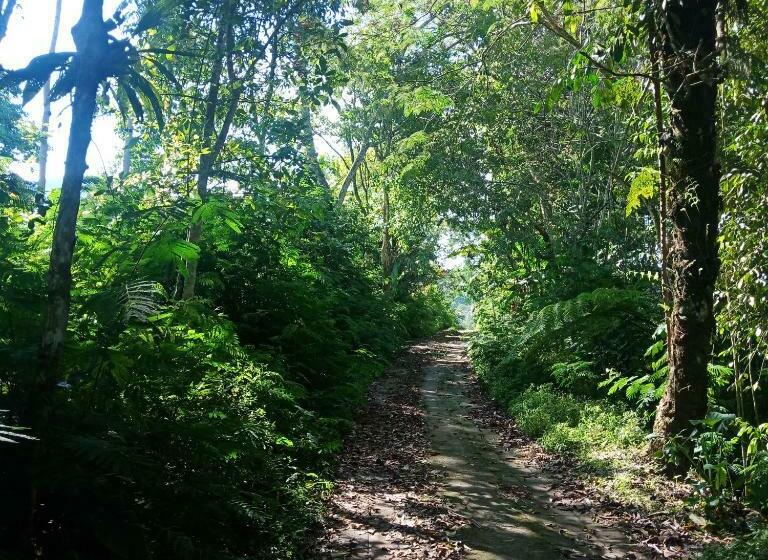 مبيت وإفطار Eco Bedugul Adventurer Camp