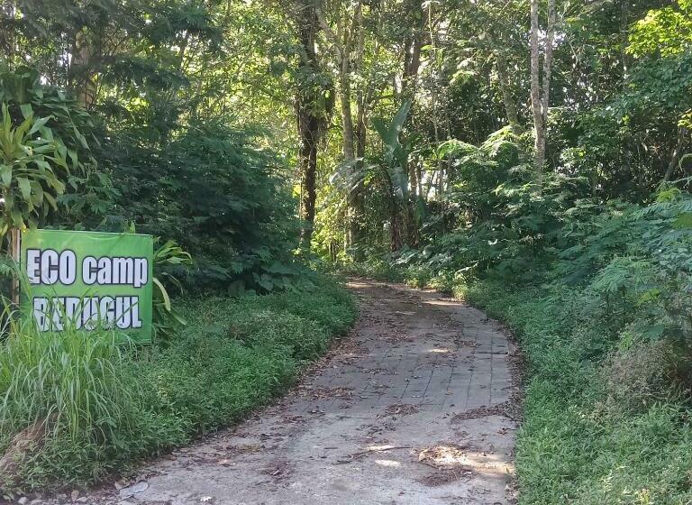 مبيت وإفطار Eco Bedugul Adventurer Camp