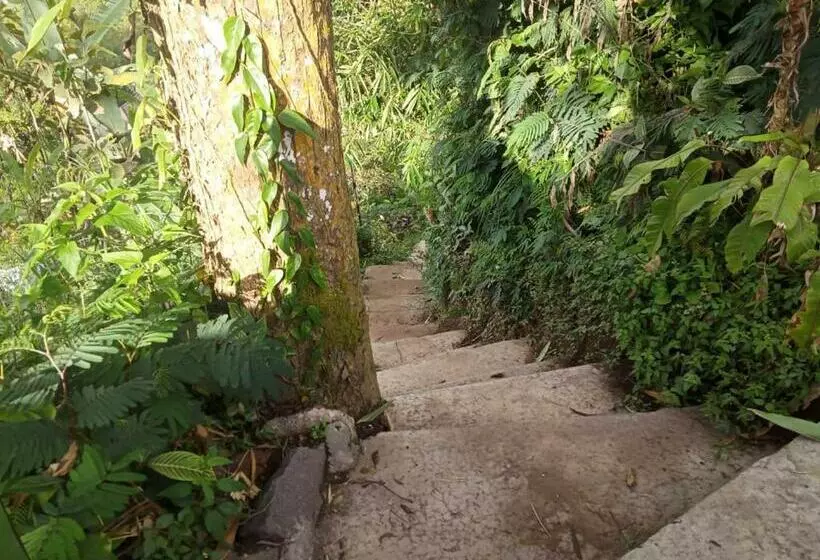 ベッドアンドブレックファースト Eco Bedugul Adventurer Camp