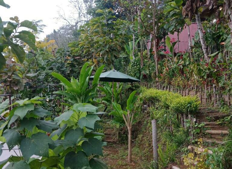 مبيت وإفطار Eco Bedugul Adventurer Camp