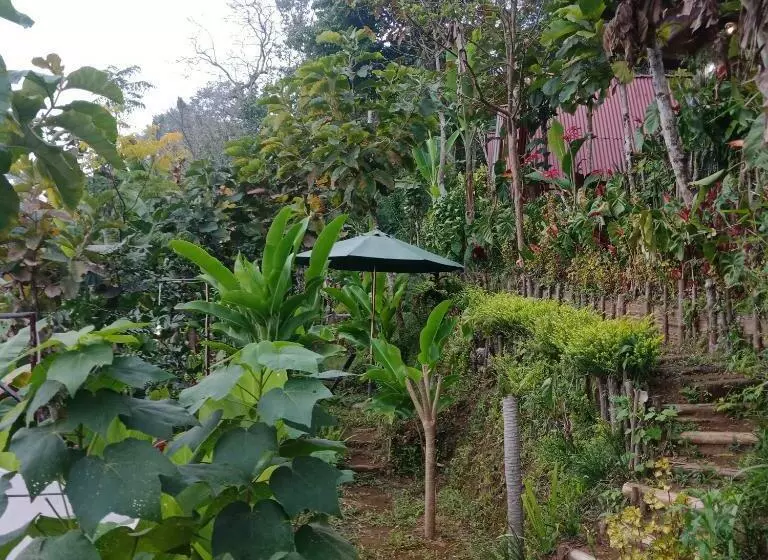 ベッドアンドブレックファースト Eco Bedugul Adventurer Camp