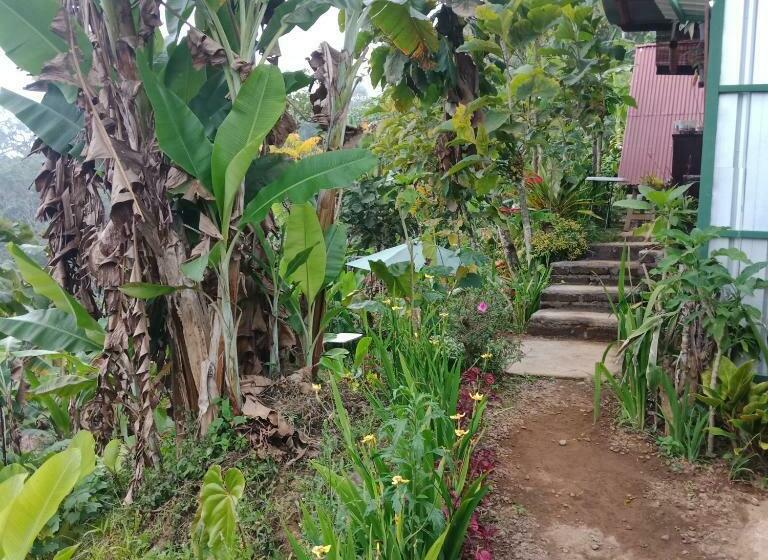 مبيت وإفطار Eco Bedugul Adventurer Camp