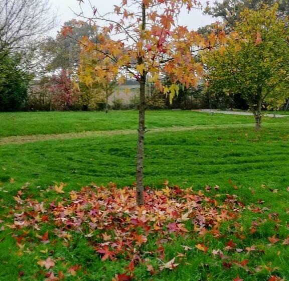 צימר La Haye Georget