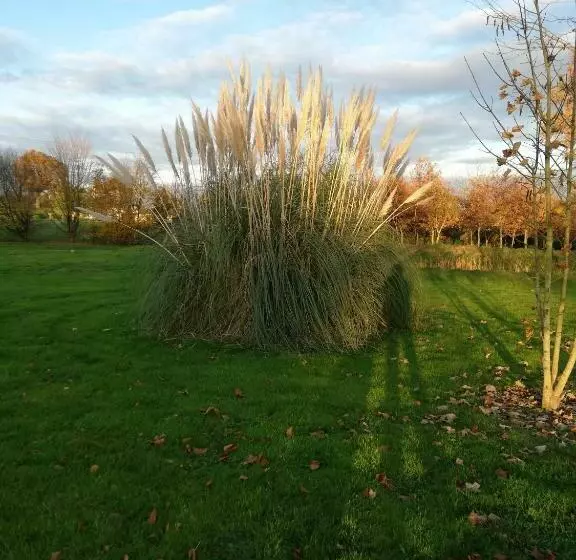 ベッドアンドブレックファースト La Haye Georget