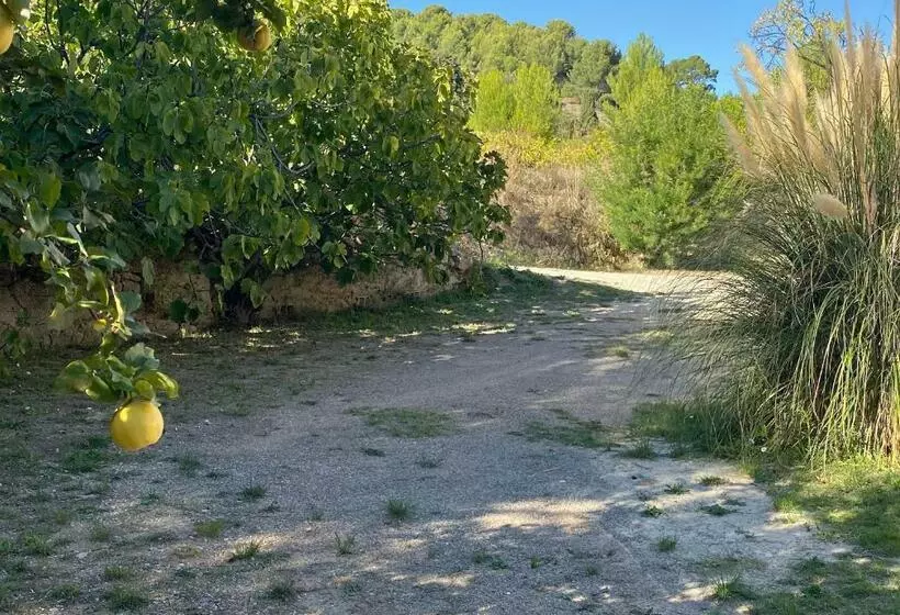 Aamiaismajoitus (B&B) Les Manaux En Provence