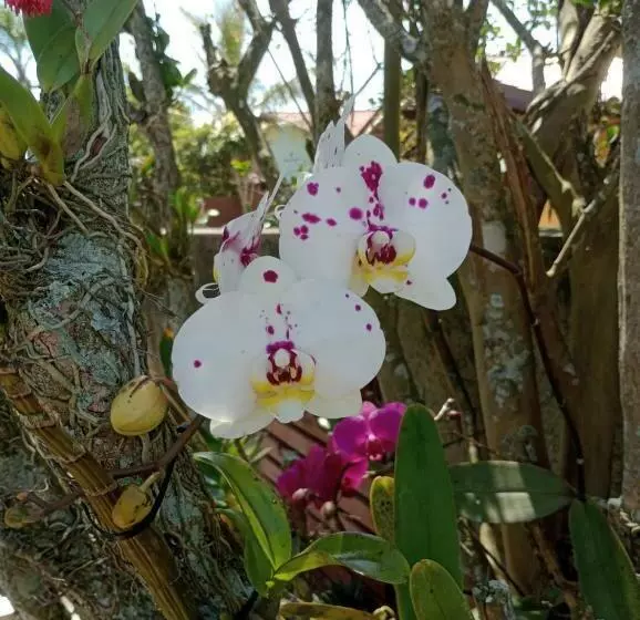 Majatalo Casa Da Sandra